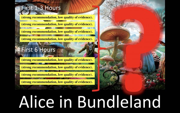 Should we retire the Surviving Sepsis Guidelines and Bundles: PRO (#LIVES2018)